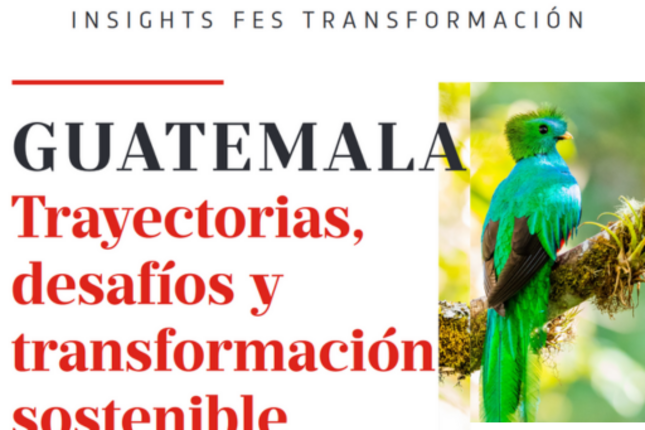Insights: transformación de la matriz productiva