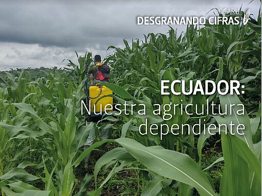 Ecuador: nuestra agricultura dependiente. Singaña, D. (2022). 