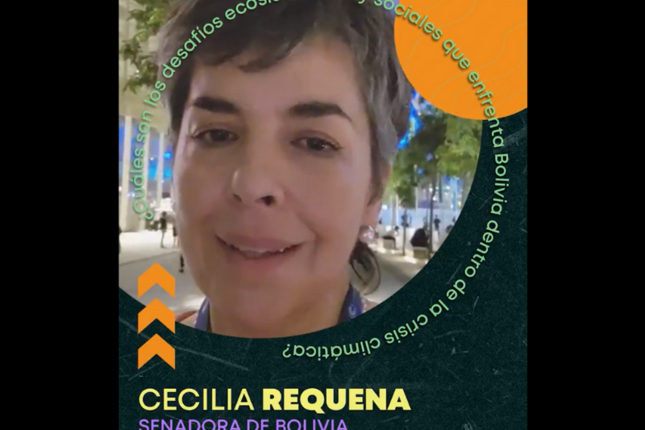 Cecilia Requena analiza la representación parlamentaria desde Dubai