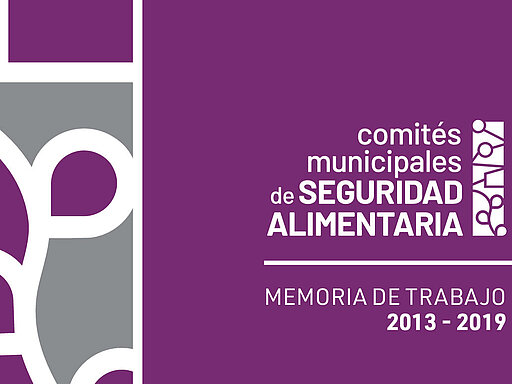 Memoria de Trabajo CMSAs 2013 al 2019