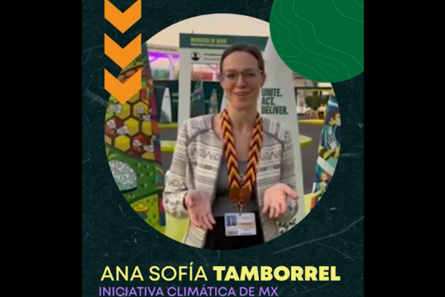 Ana Sofía Tamborrel analiza los principales hitos de la COP28