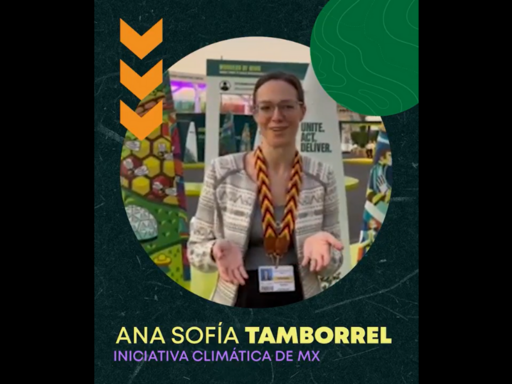 Ana Sofía Tamborrel analiza los principales hitos de la COP28