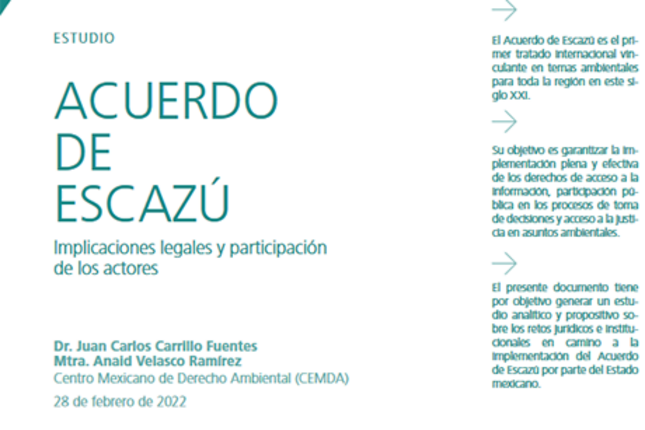 Implicaciones legales y participación de los actores