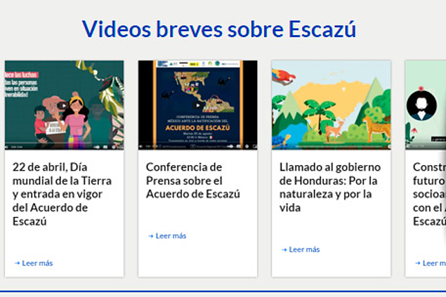 ¿Necesitas incorporar videos breves o infografías?