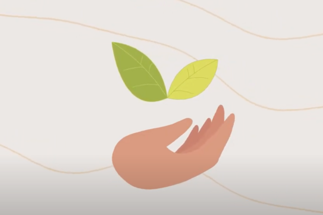 Escazú como instrumento para el cuidado y continuidad de la vida - Vídeos e infografías