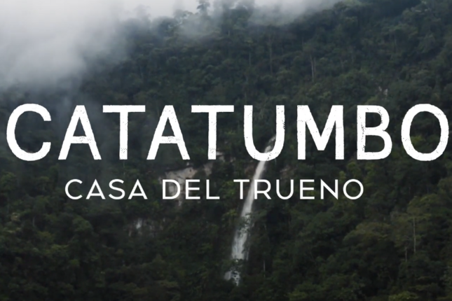 Frontera colombo-venezolana: una crisis ambiental ignorada y sus vínculos con la violencia armada