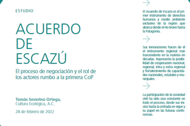 El proceso de negociación y el rol de los actores rumbo a la primera COP