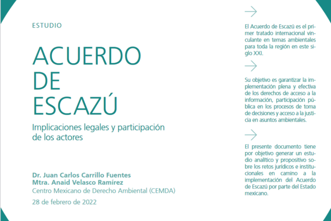 Implicaciones legales y participación de los actores