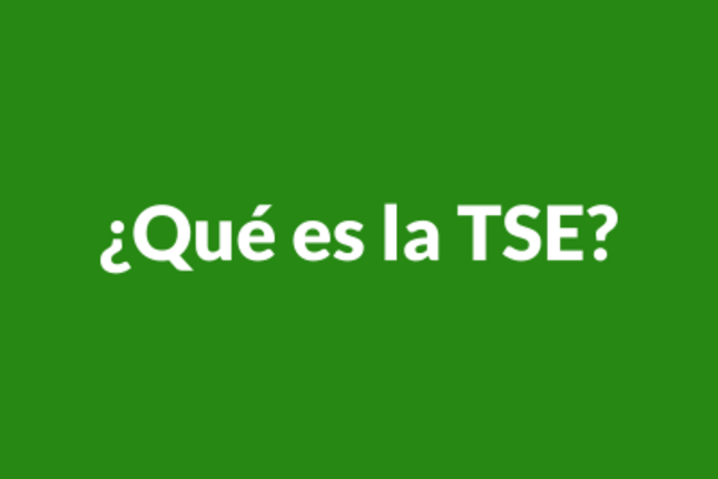 ¿Qué es la TSE?