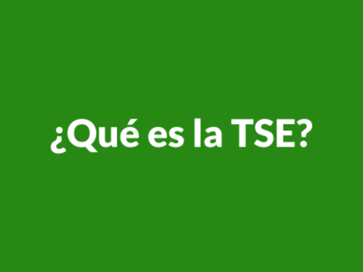 ¿Qué es la TSE?