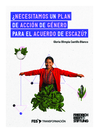 Necesitamos un plan de acción de género para el acuerdo de Escazú?